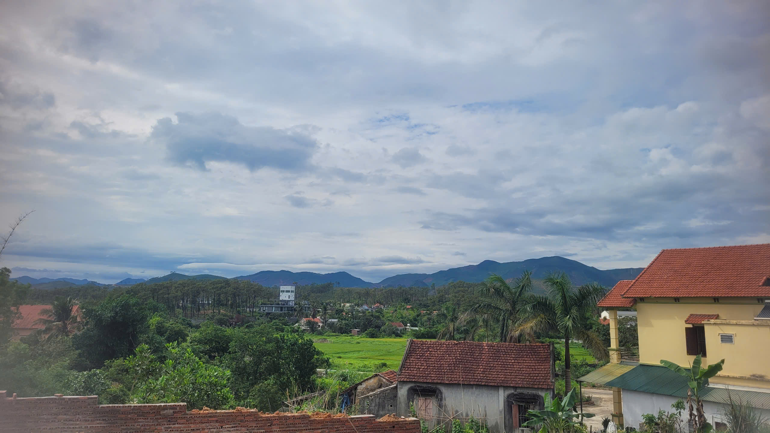 2025-06-20/012d81a9-03e6-46af-99e8-80c7d41c98b1 (1).jpg